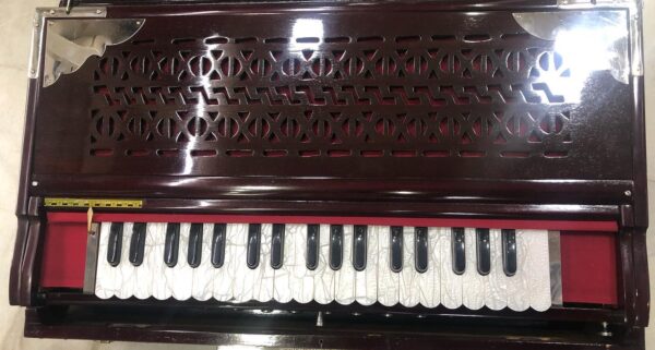 Special Scale Changing Harmonium