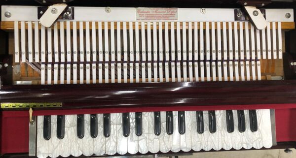 Special Scale Changing Harmonium - Image 3