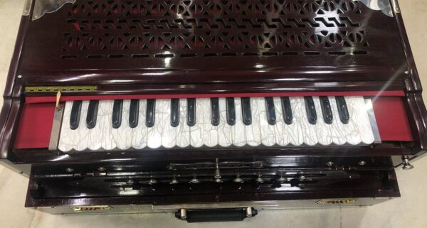 Special Scale Changing Harmonium - Image 4