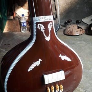 Male Tanpura