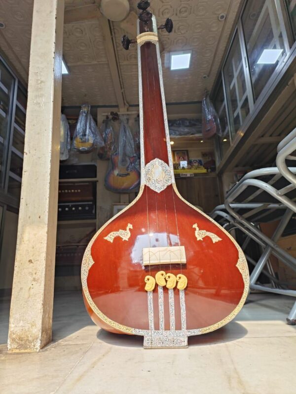 Male Tanpura - Image 3