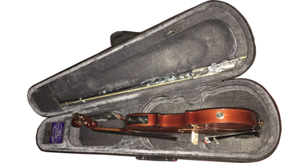 Electric 4 Strings Violin