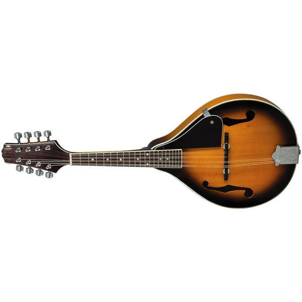 Mandolin- A Style F Cut