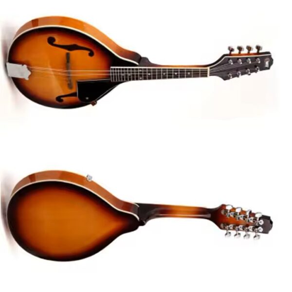 Mandolin- A Style F Cut - Image 2