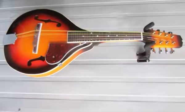 Mandolin- A Style F Cut - Image 3