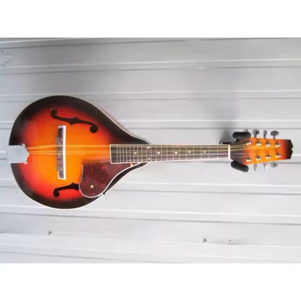 Mandolin- A Style F Cut - Image 4