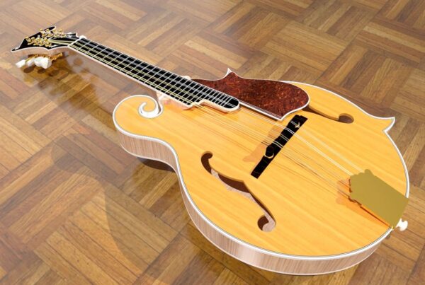 F Style F Cut Mandolin