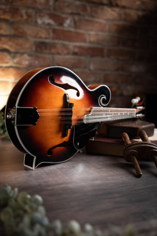 Mandolin- F Style F Cut- Electric - Image 2