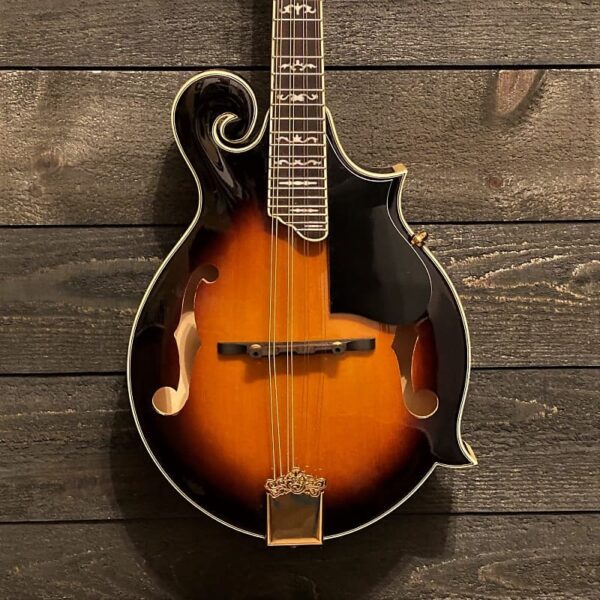 Mandolin- F Style F Cut- Electric - Image 3