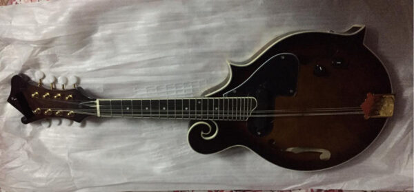 F Cut F Style Mandolin