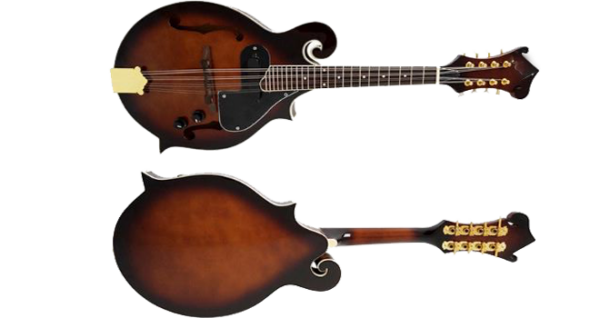 Mandolin- F Style F Cut- Electric