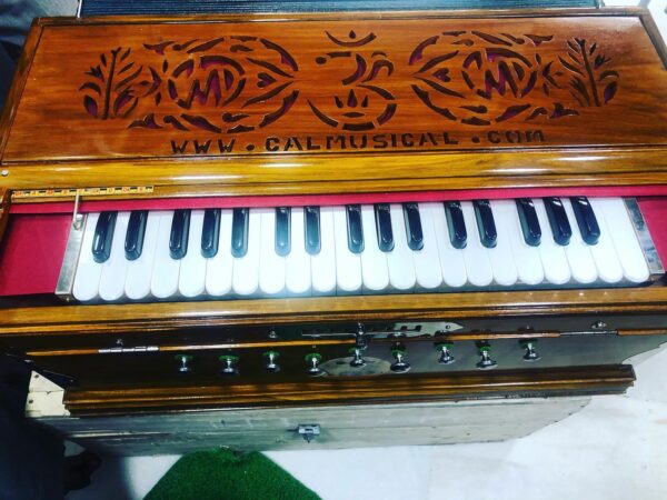 Fixed Scale Changing Harmonium