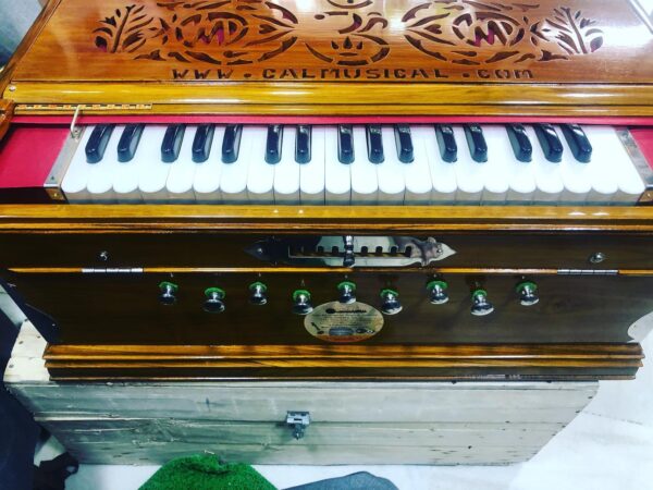 Fixed Scale Changing Harmonium - Image 9