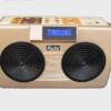 Digital Tanpura- Saarang Miraj Plus (Radel)