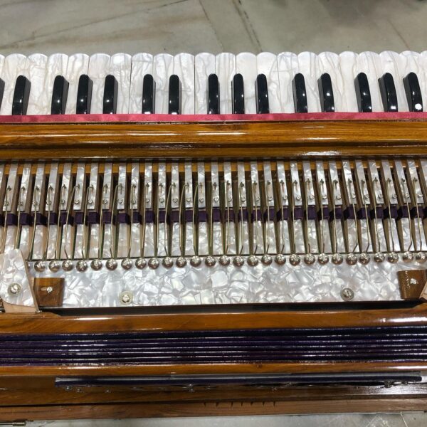 Portable Ordinary Harmonium - Image 3