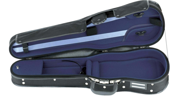 Violin Case