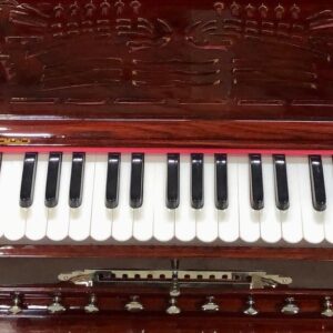 4 Set Paris Reeds Scale Changing Harmonium