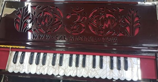 3 Set Paris Reeds Scale Changing Harmonium