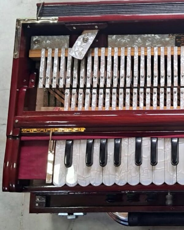 3 Set Paris Reeds Scale Changing Harmonium - Image 4