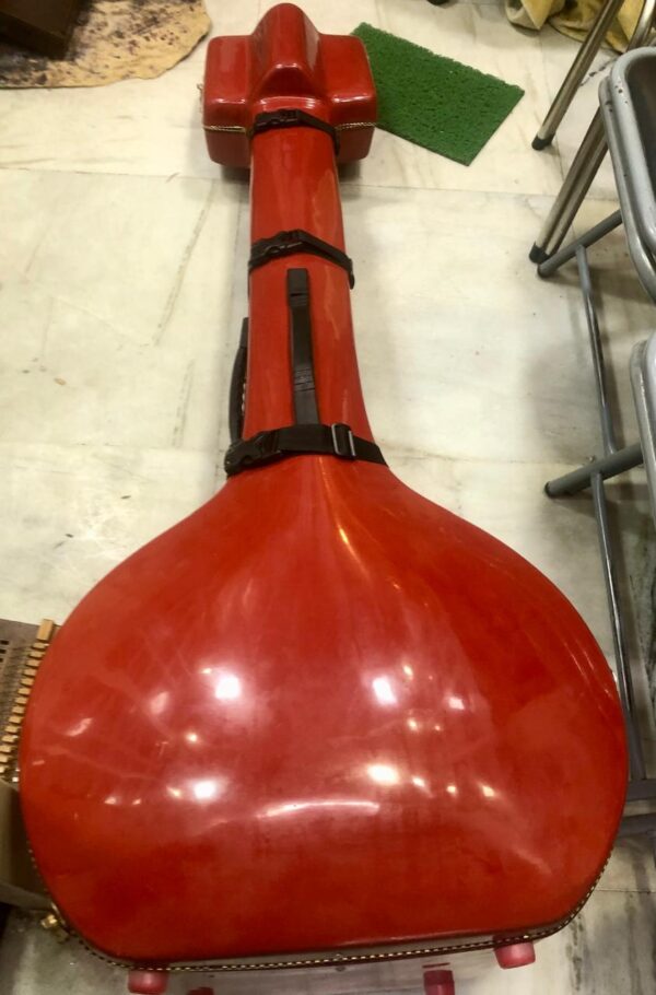 Male Tanpura