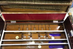 Harmonium Reeds