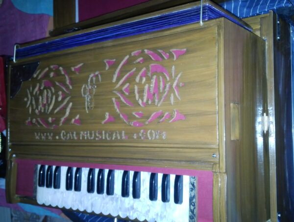 Mini Customized Pine Wood Scale Changing Harmonium - Image 3